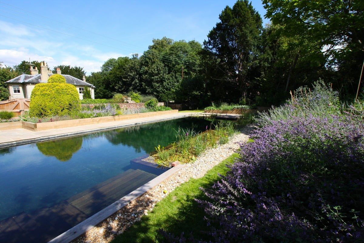 piscina biológica no quintal de uma casa
