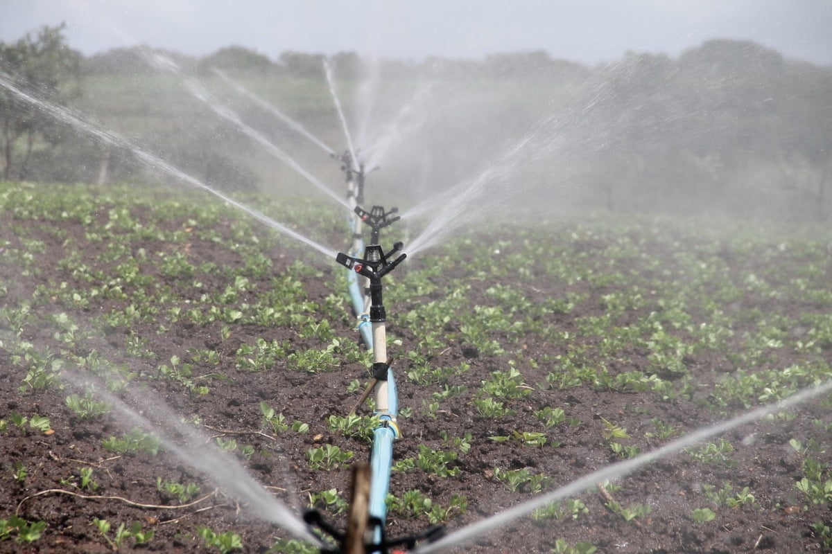 Aspersores para irrigação, como escolher.