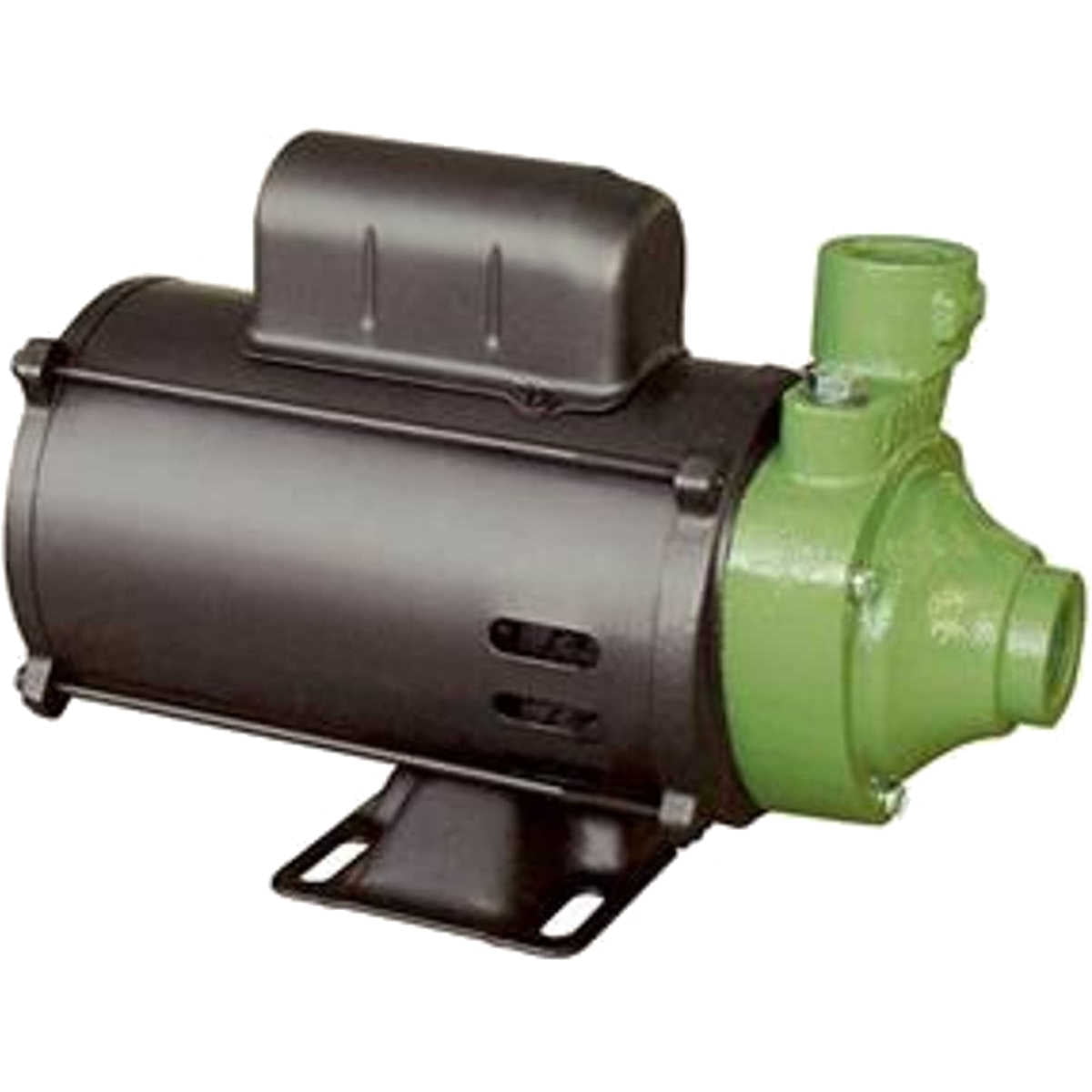 Motobomba Monoestágio Fsp60-1 Monofásica 1/2 Cv 110/220 V Famac