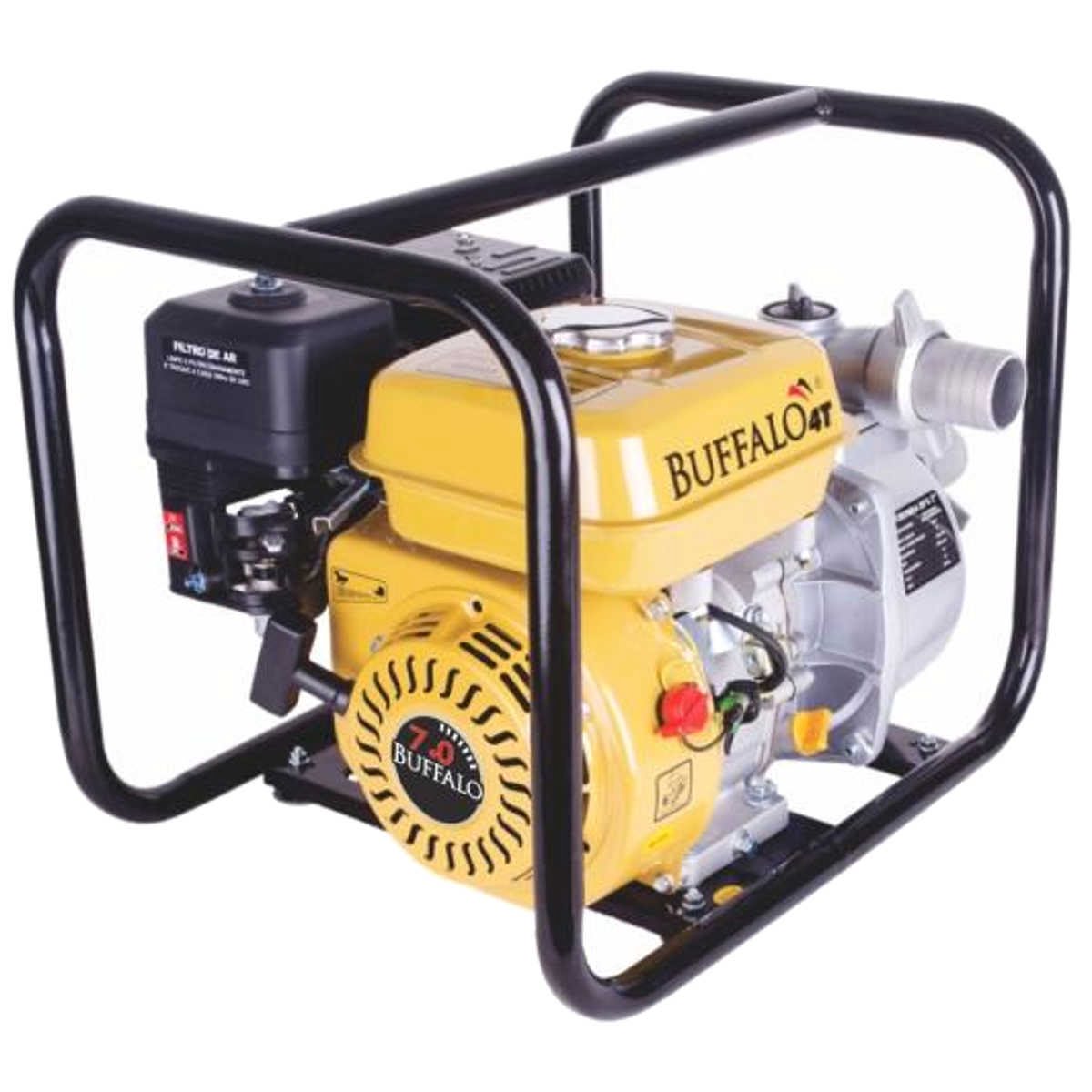 Bomba Auto Escovante Buffalo Bfg 2 S 7 Cv Partida Manual