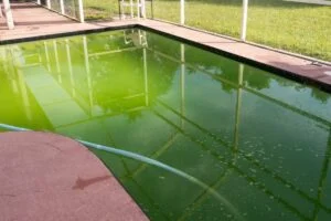 piscina suja no verão