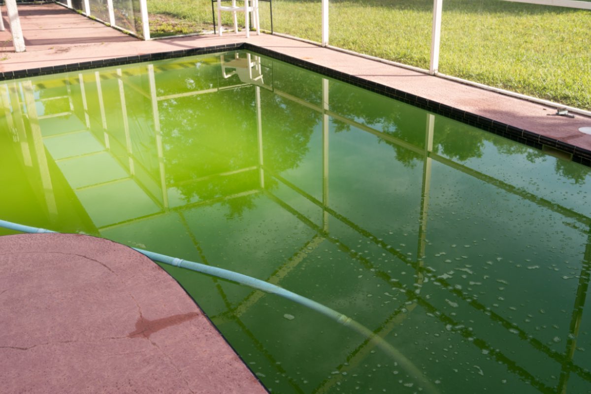 piscina suja no verão