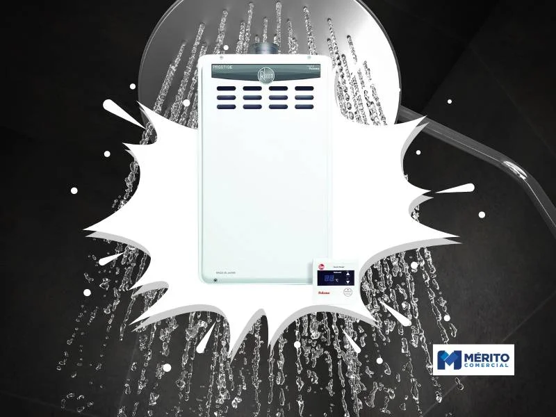 Rheem Paloma RB3AP36
