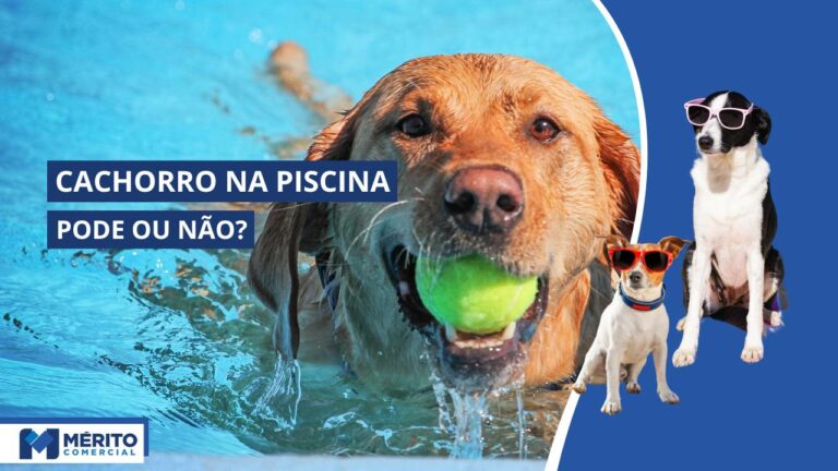 Cachorros podem entrar na Piscina?