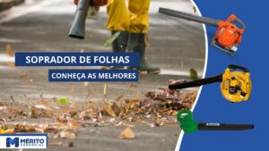 Top 10 Melhores Sopradores de Folhas!