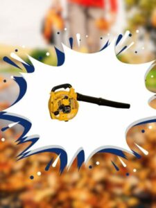 Soprador a Gasolina Buffalo BFG 260-SB – 2T, 1CV